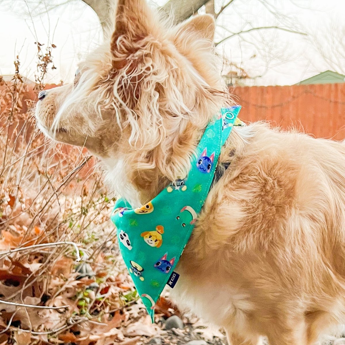 Japanese-Inspired Dog and Cat Bandanas - Cute Collection – KIKI Japan
