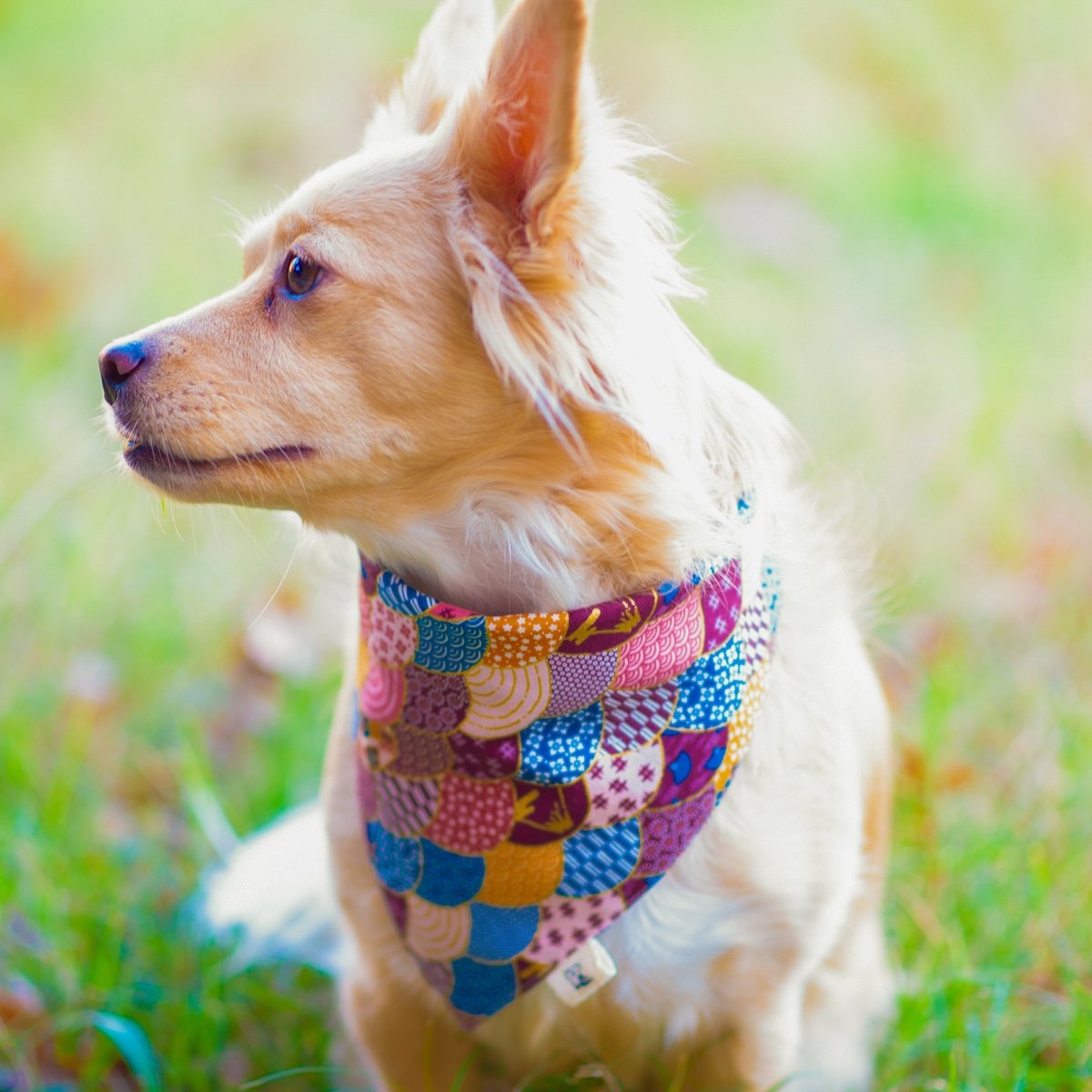 Japanese-Inspired Dog and Cat Bandanas - Traditional Japanese