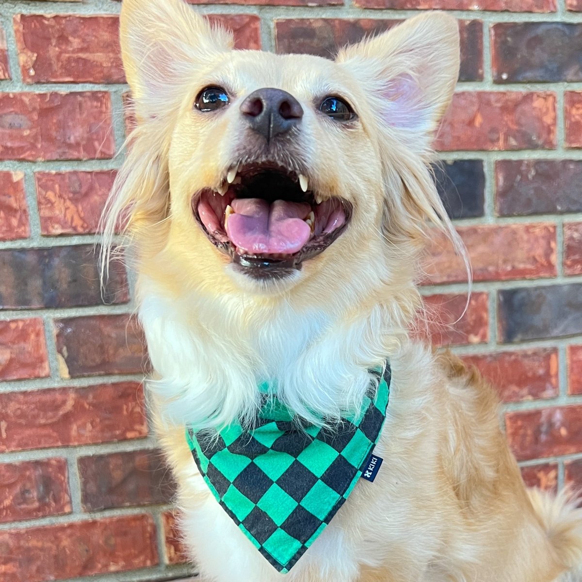 Green and Black Ichimatsu Dog & Cat Bandana - KIKI Japan